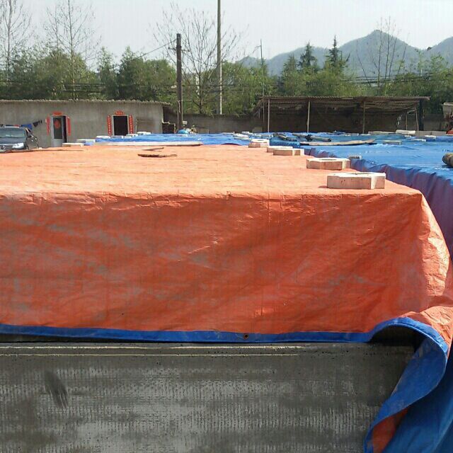 �L���p�|(zh��)�􉦰�